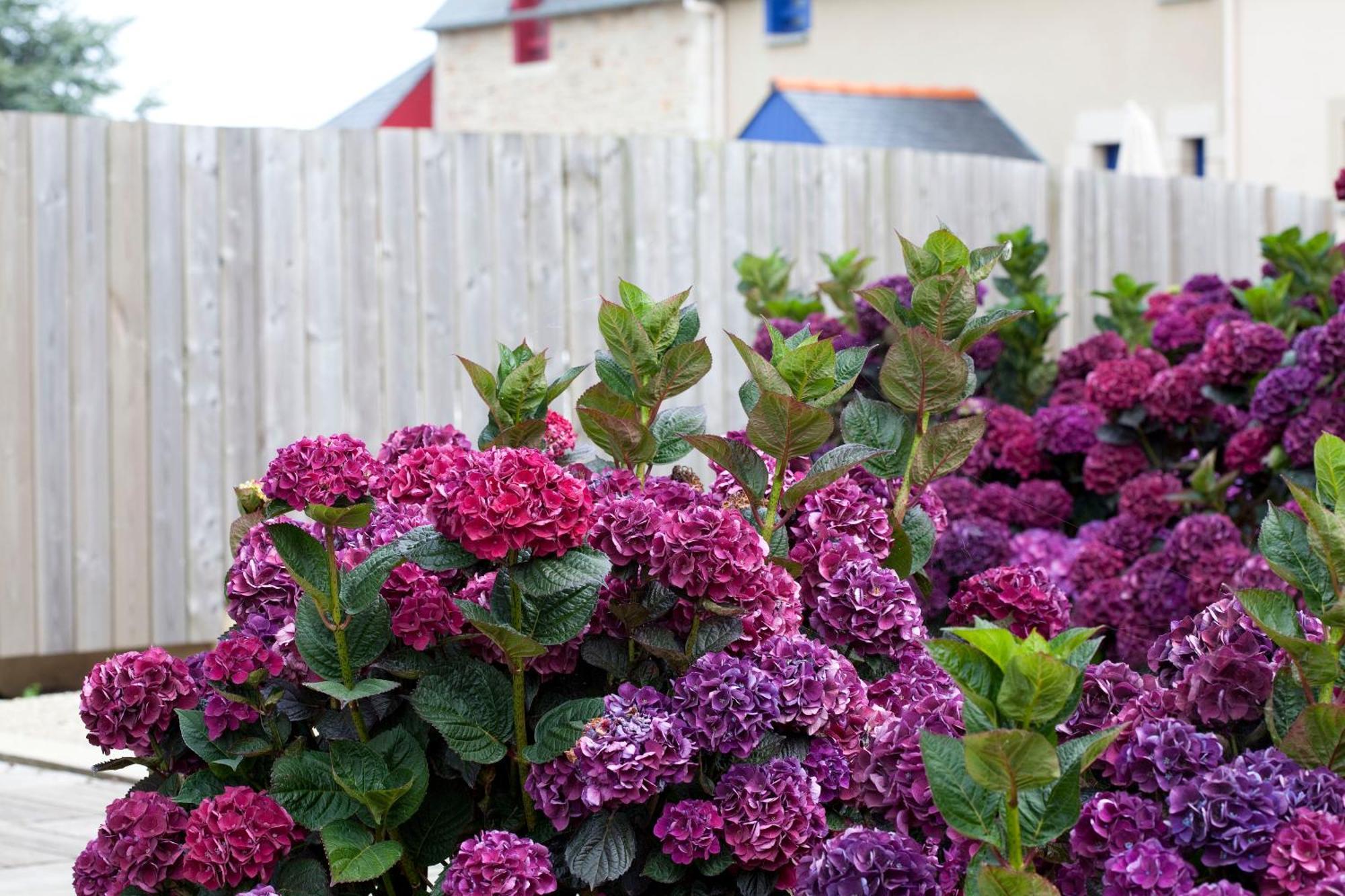 Le Village Cancalais Cancale Bagian luar foto